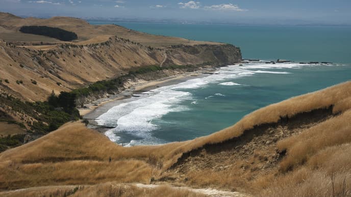 Links with a view