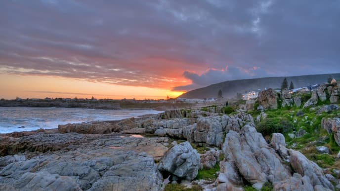 Whale Coast Land & Sea