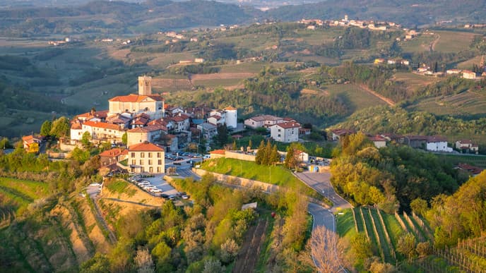Welcome to the Wine Region