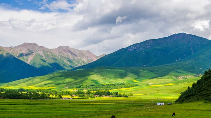 One More Morning Hike Before You Go