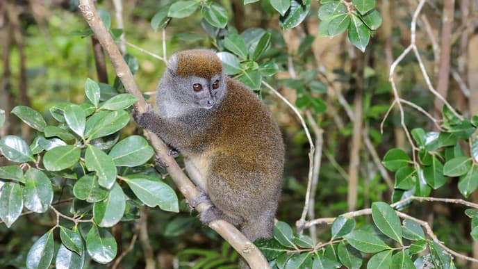 Vom atemberaubenden Kalkstein zum Regenwald