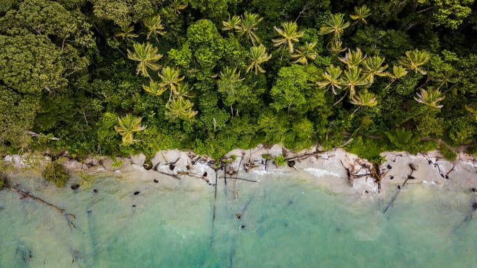 Farewell, Costa Rica!