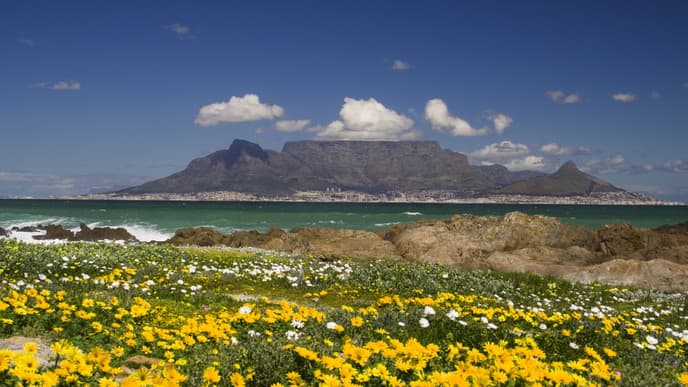 Witness The Mountains Of The Cederberg Region & Cape Town