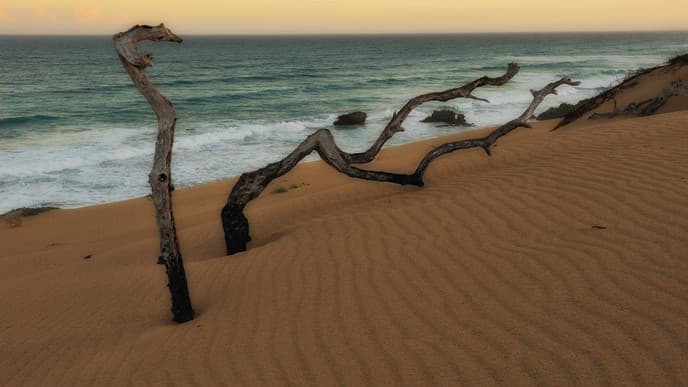 Über Afrikas Südspitze ins De Hoop Naturreservat