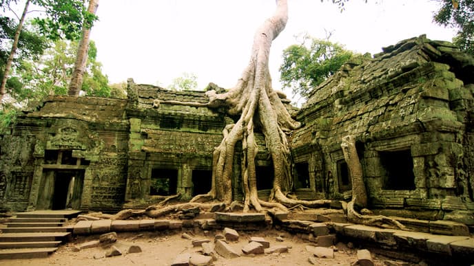 Helicopter Flight and Phare Circus