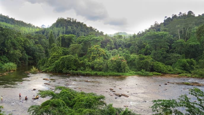 Adventures on the river