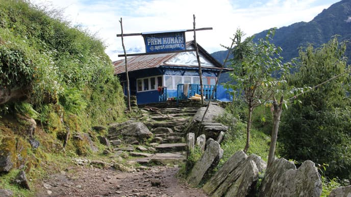 The Innumerable Stone Steps