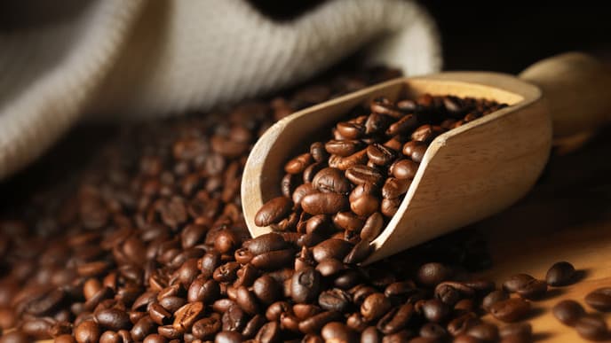 Visit a coffee plantation