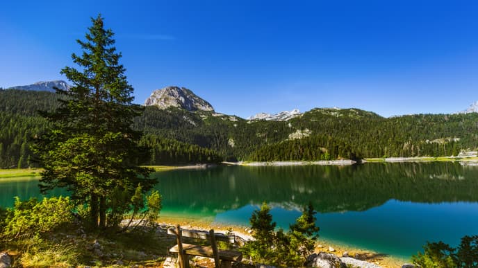 Day 5: Choose Your Own Adventure