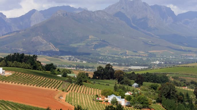 Luxus in der Weinstadt Stellenbosch