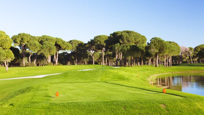 Golfen nahe dem Kruger Nationalpark