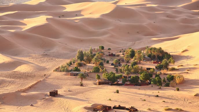 Magical desert camp experience