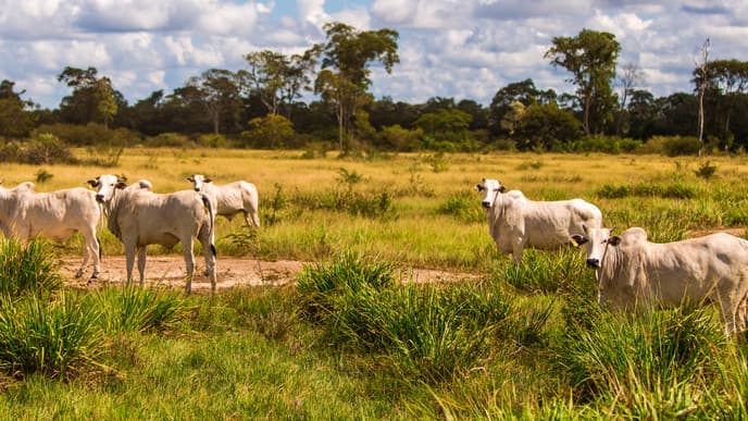 Reiten und Bootfahren