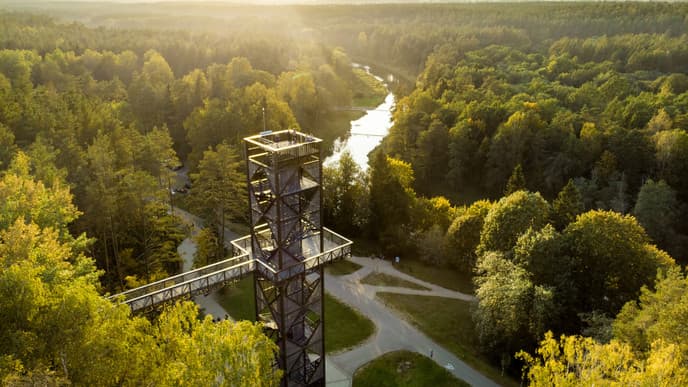 A magical day in the treetops of Anyksciai