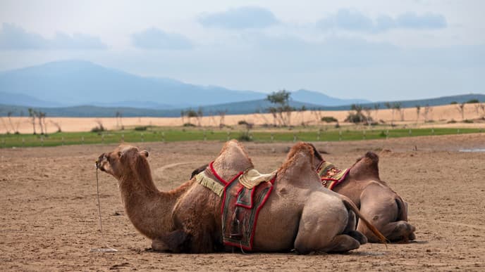 Monasteries and the Mini Gobi
