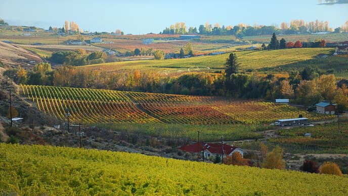 Drive Across the Okanagan Valley
