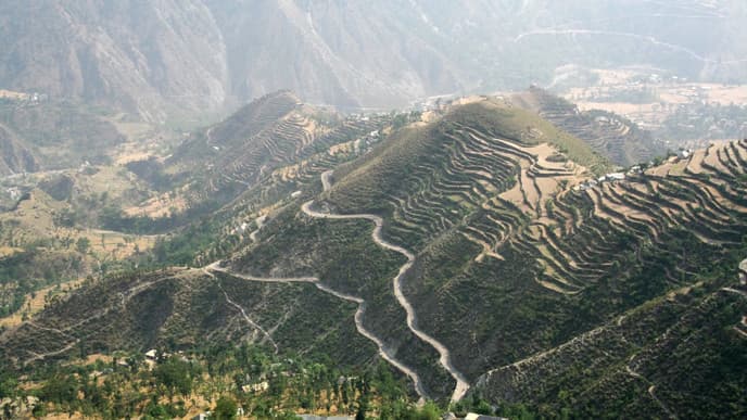 Explore Chail Palace