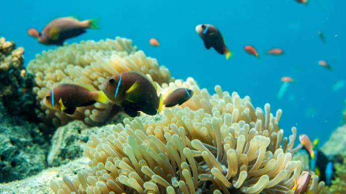 Last day at the Barefoot Eco Hotel