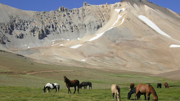 Journey back to Bariloche