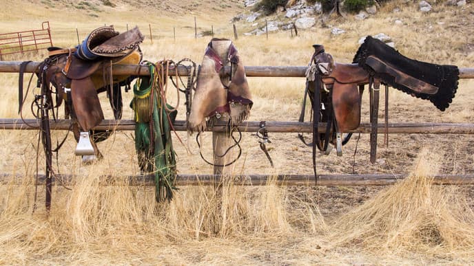 Learn about the gaucho way of life