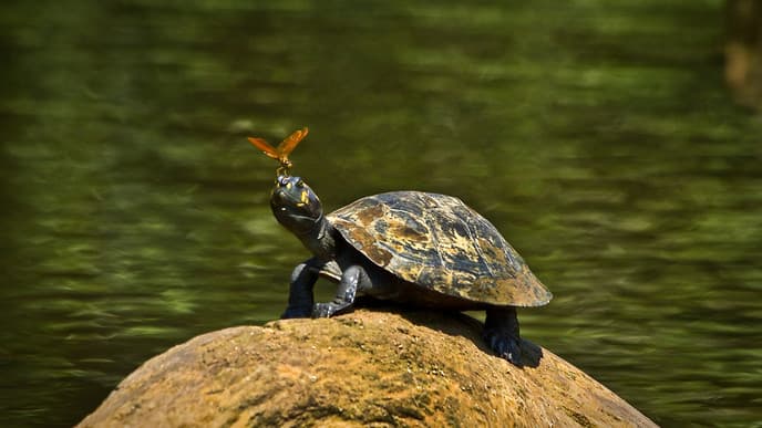 A spiritual awakening in the Amazon