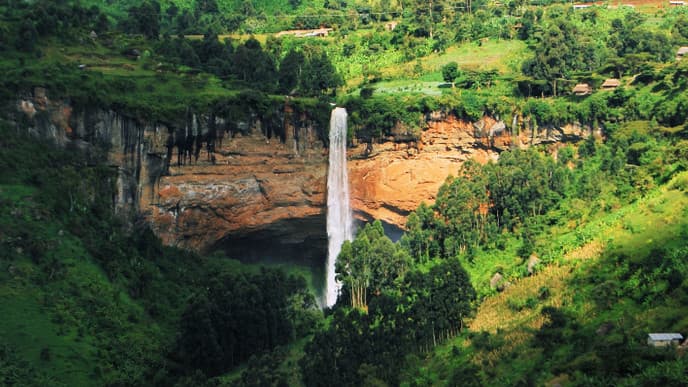 Join A Coffee Tour Around Mount Elgon
