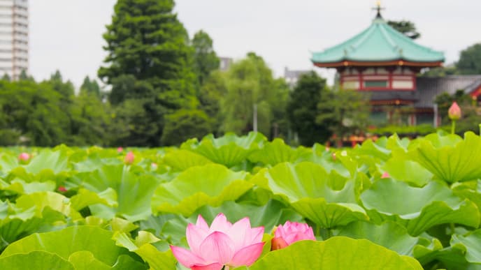 Facettenreiches Tokio