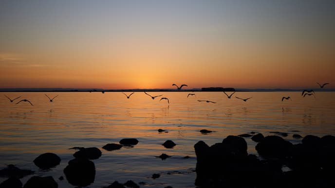 Adiós y hasta pronto Mexico!