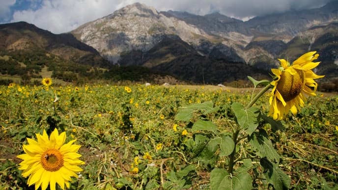 Spannende Wanderung zum Wasserfall