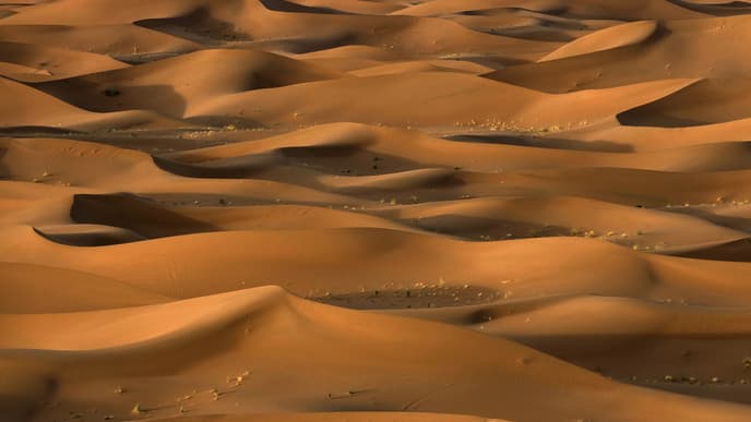 Reise in die Einsamkeit der Wüste