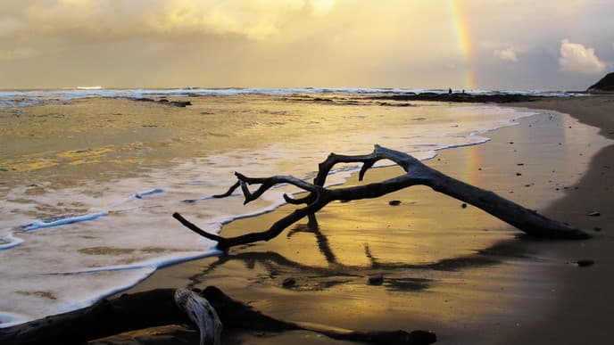 Sport oder Strandtag?