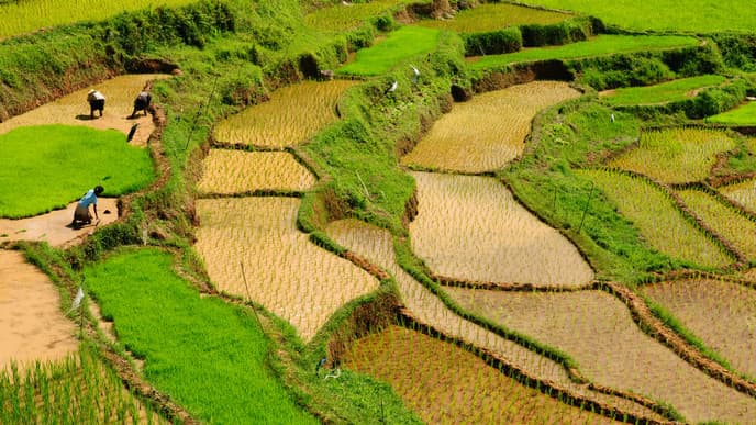 Journey to Tana Toraja