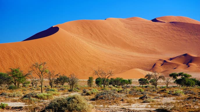 Sunset in the desert