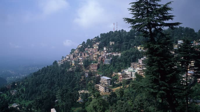 An immersive day of sightseeing