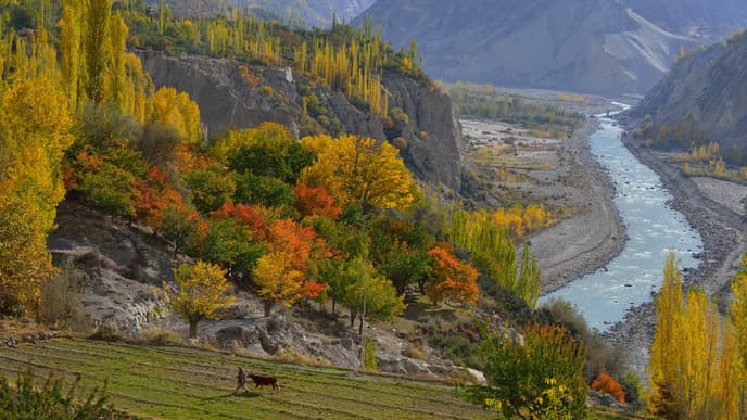 Day 3: Discover History in Hunza and Karimabad