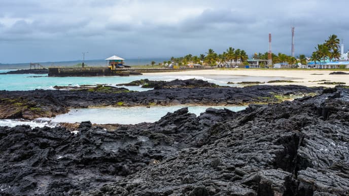 Isabela Island & the wildlife of Las Tintoreras