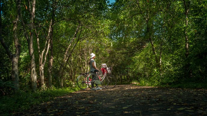 Mit dem Drahtesel durch die Natur