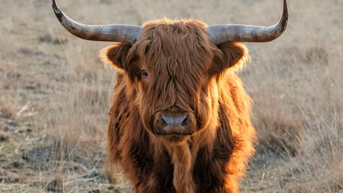 Sakteng to Trashigang Town
