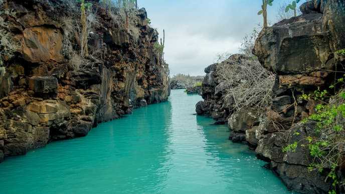 A coastal kayaking adventure