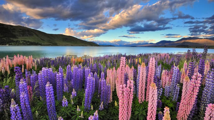 New Zealand's highest peak