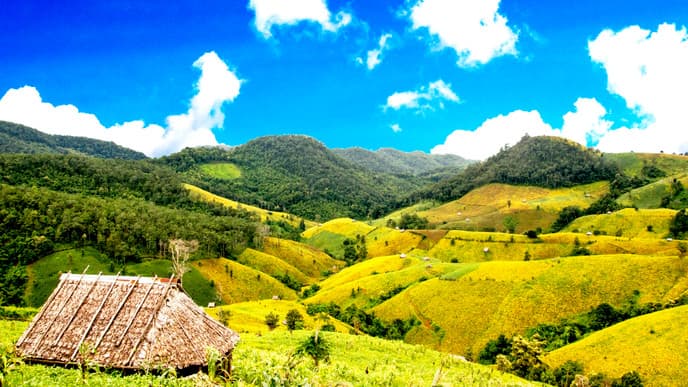 Journey to Colombia's Coffee Country