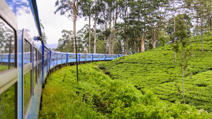 Frischen Tee genießen