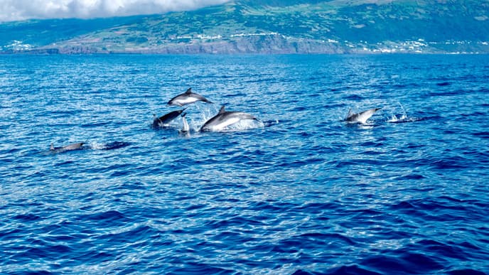 Traverse the Island by E-Bike