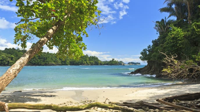 Ankunft im Paradies von Manuel Antonio