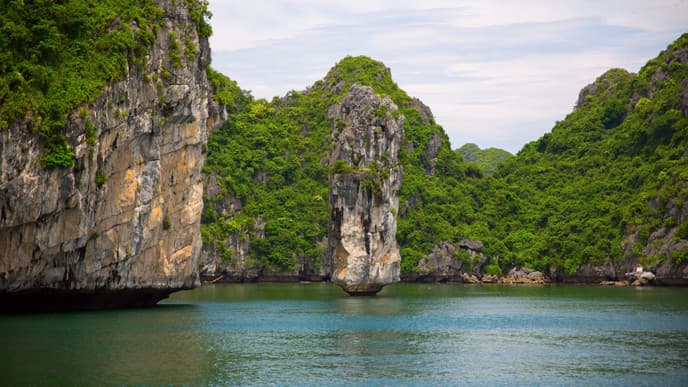 Tai Chi bei Sonnenaufgang