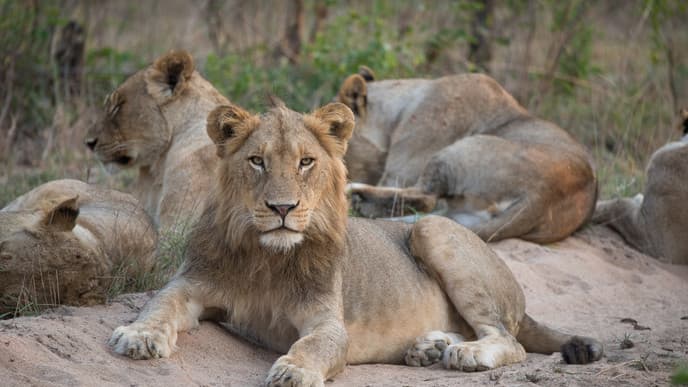 Ein letzter Tag in der Wildnis