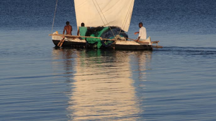 Arrive In Majestic Tulear