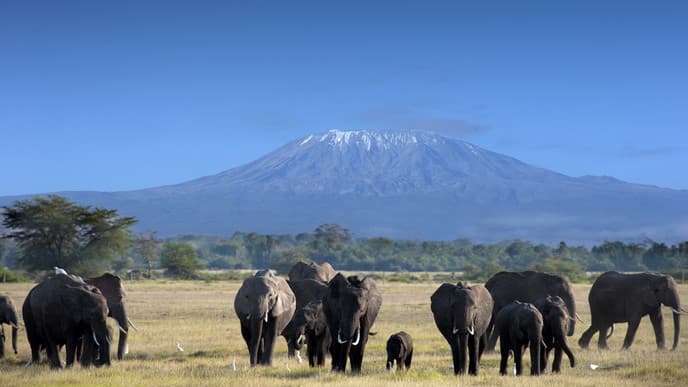 Ankunft am Kilimanjaro