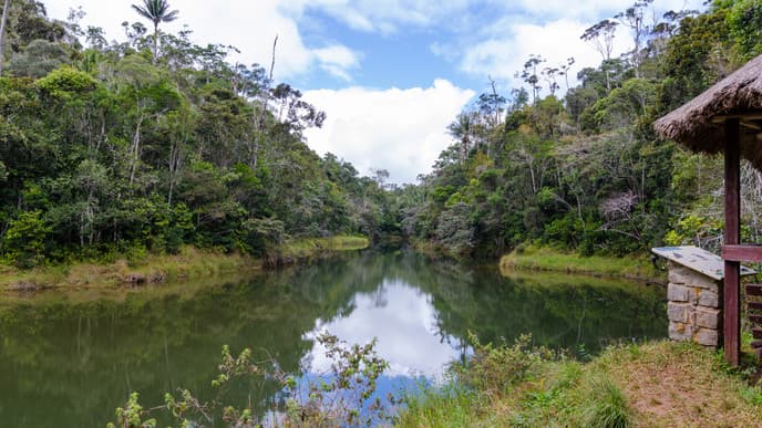 Private Park Visits at Andasibe