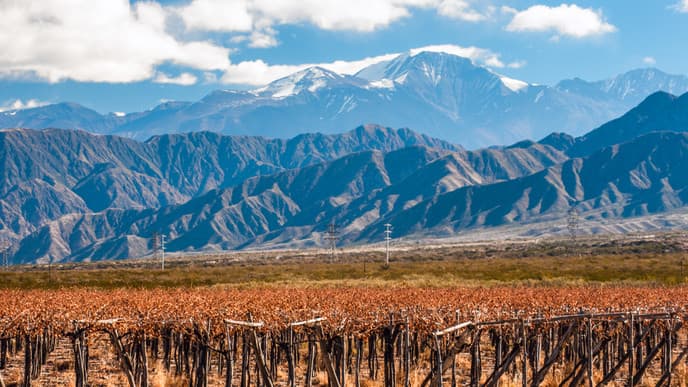 Flug nach Mendoza